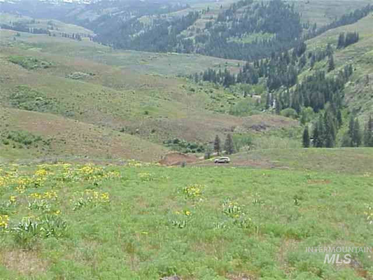 Lot 2 Middle Fork Rd - Photo 1