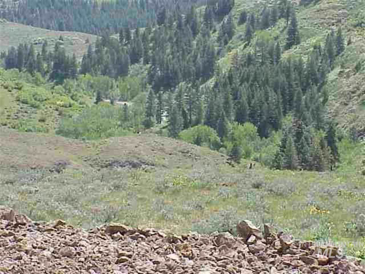 Lot 3 Middle Fork Rd - Photo 1