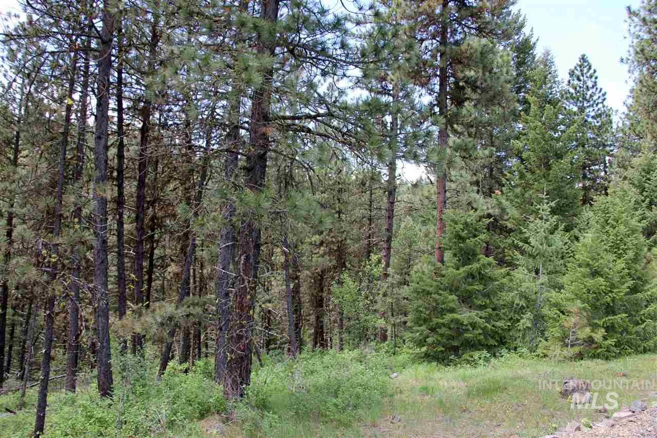 00 Yampa Ct - Photo 1
