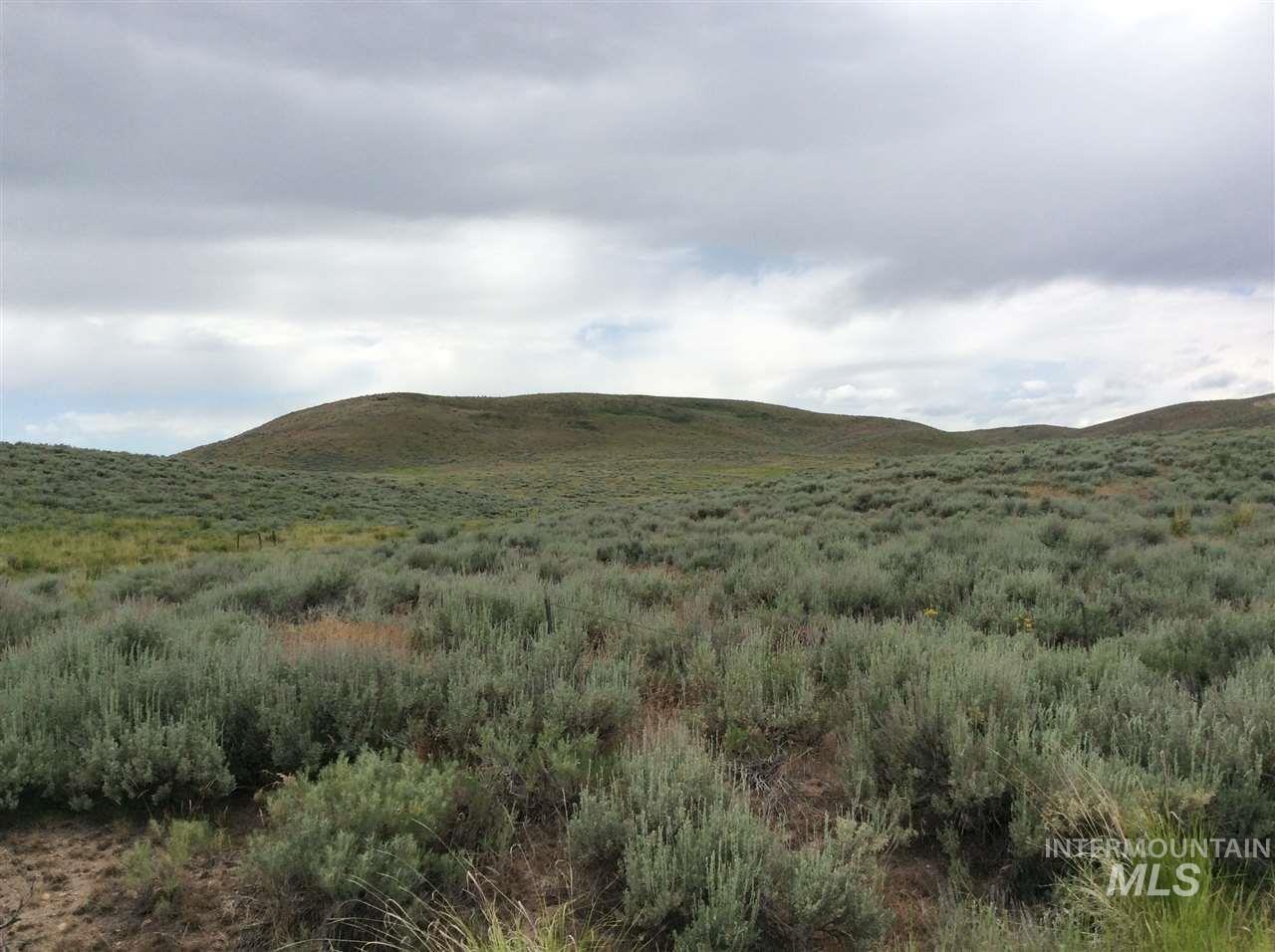 Willow Creek Road - Photo 1