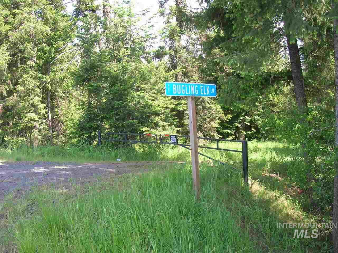 75 Bugling Elk Ln, Lot C - Photo 1