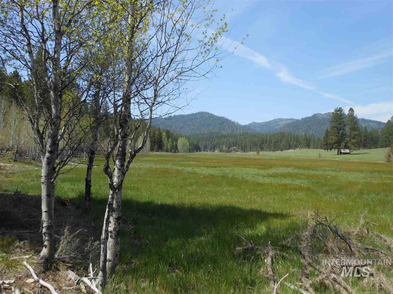 Trail Creek Meadows Ranch - Photo 1