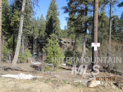 Lot 24 Cardinal - Photo 1