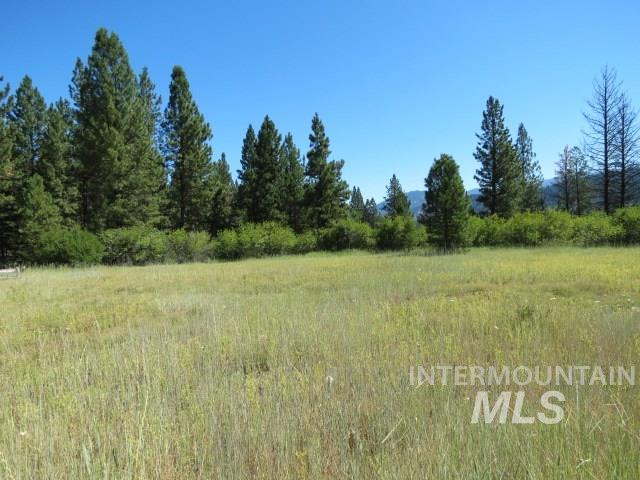Lot 4 Skyline Lane - Photo 1