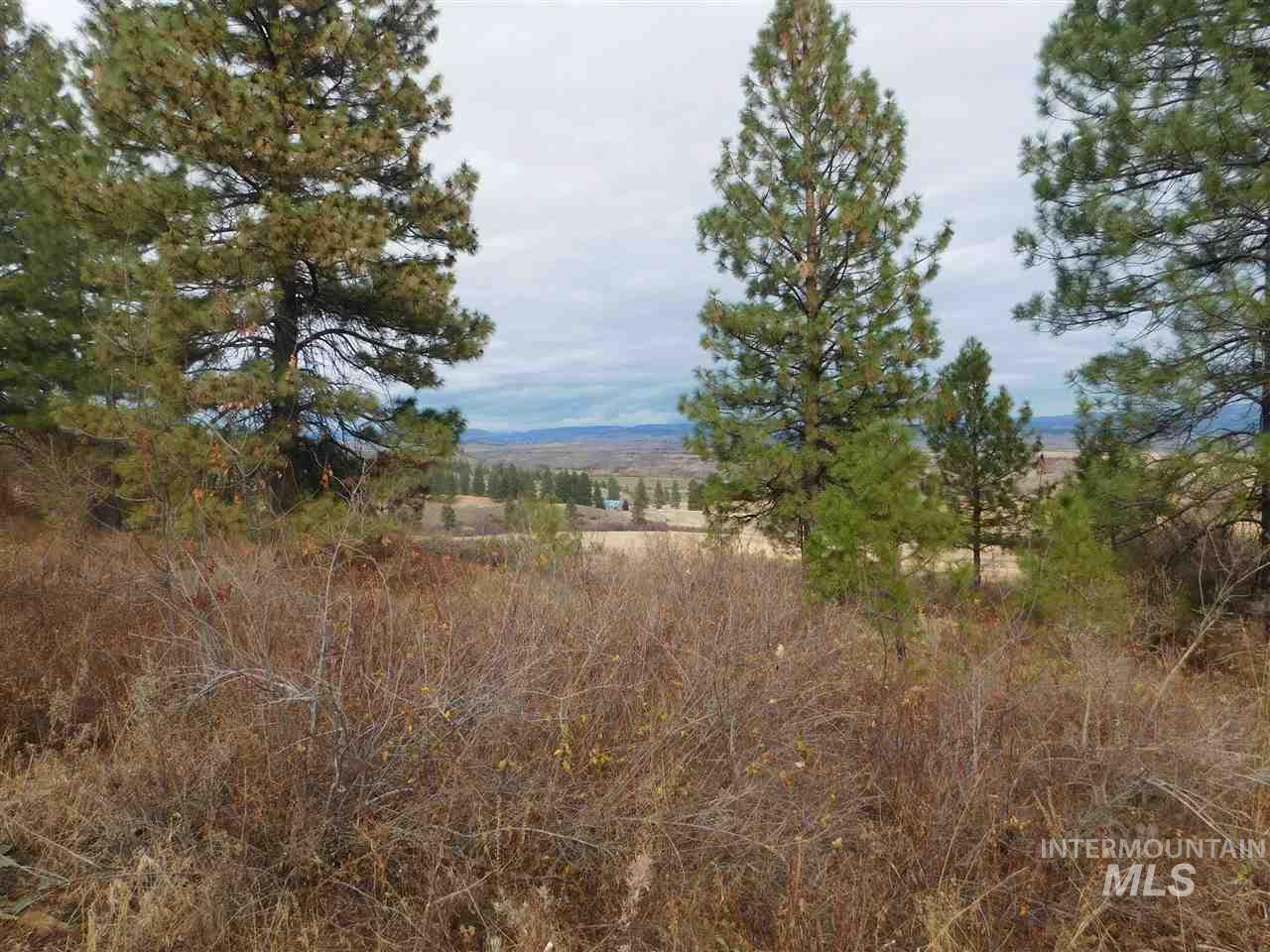 13 Elk Crossing Drive - Photo 1