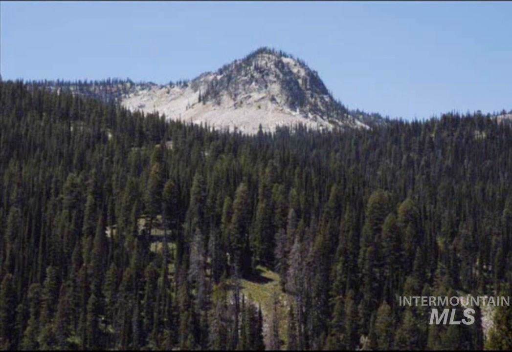 TBD Big Creek Rd - Photo 1