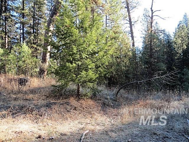Lot 56 Frosty Hollow Lane - Photo 1