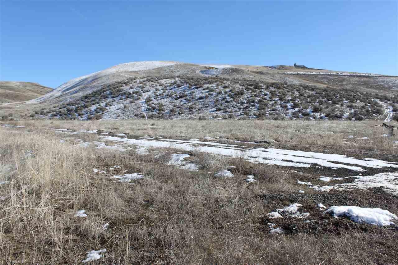 Tbd Mann Creek Rd - Photo 1