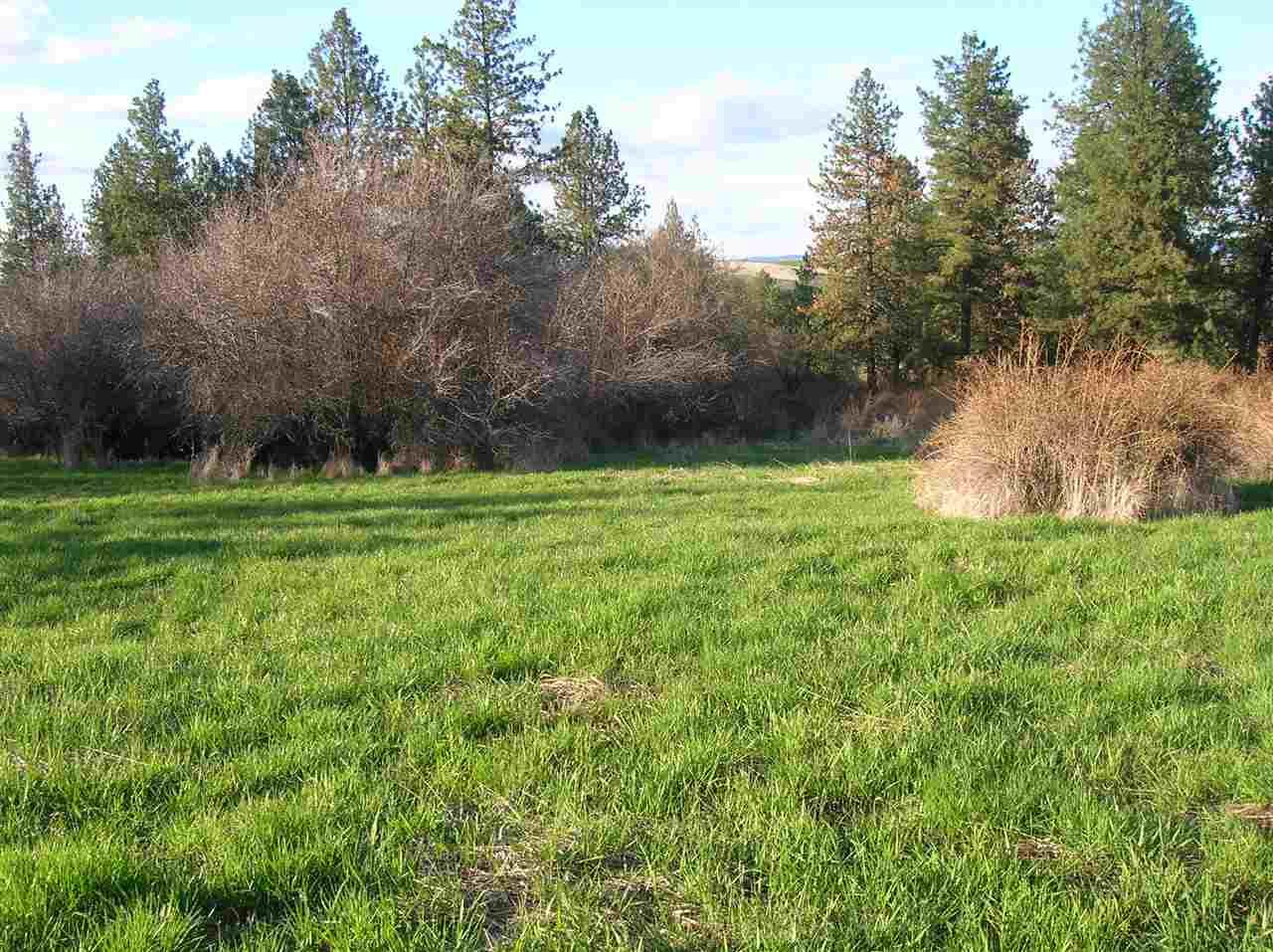 TBD - 3 Homestead Road - Photo 1
