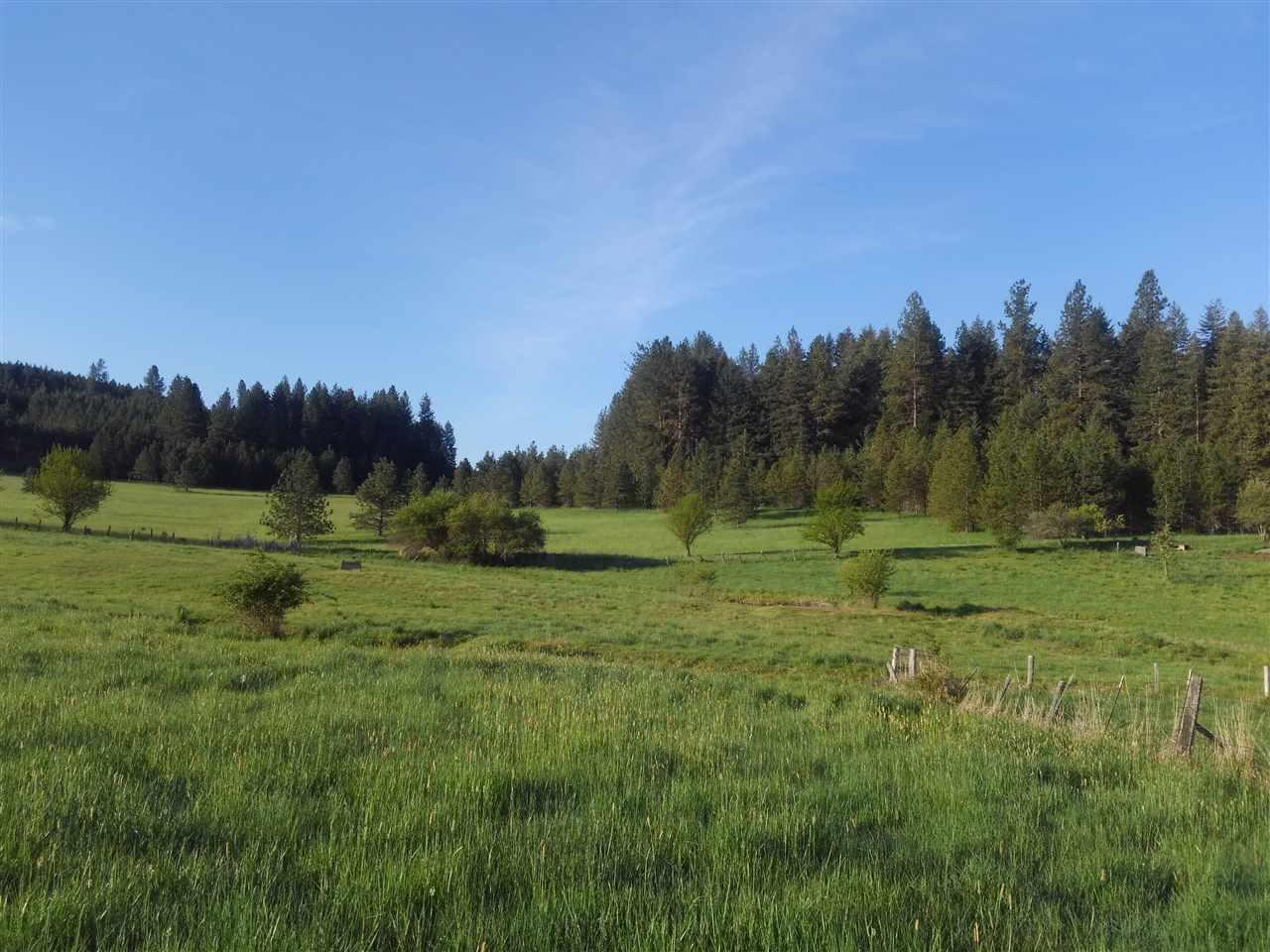 814 Leitch Creek - Photo 1
