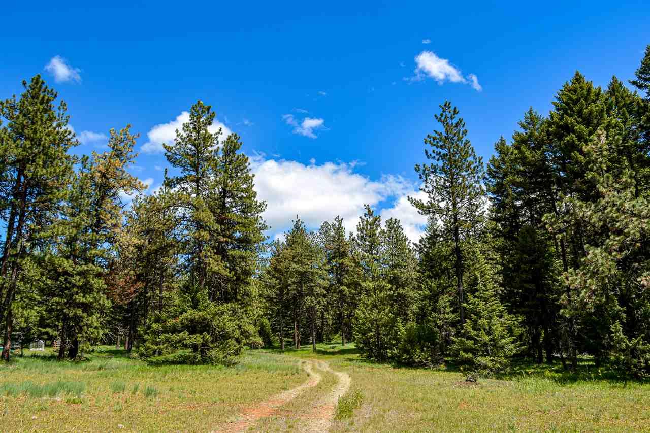 TBD Yellow Pine Avenue - Photo 1