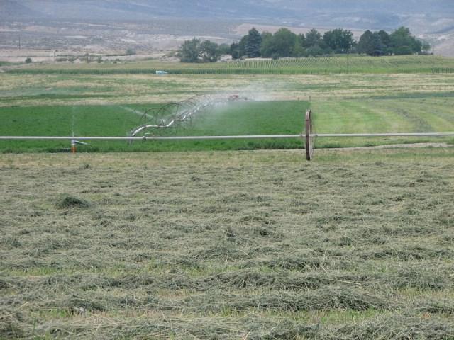 0 Highway 201 - Photo 1