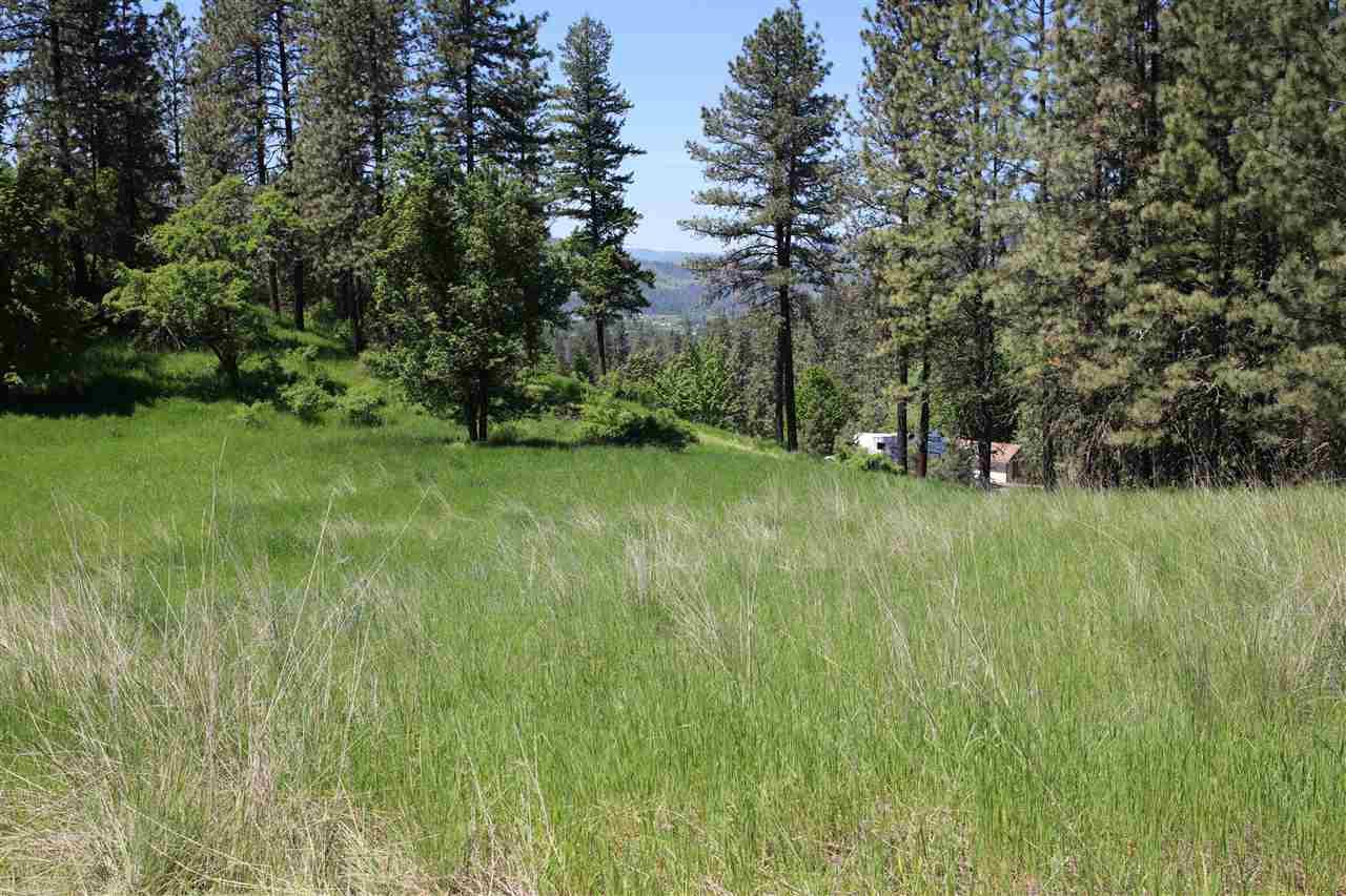 lot 1 Remington Hills - Photo 1