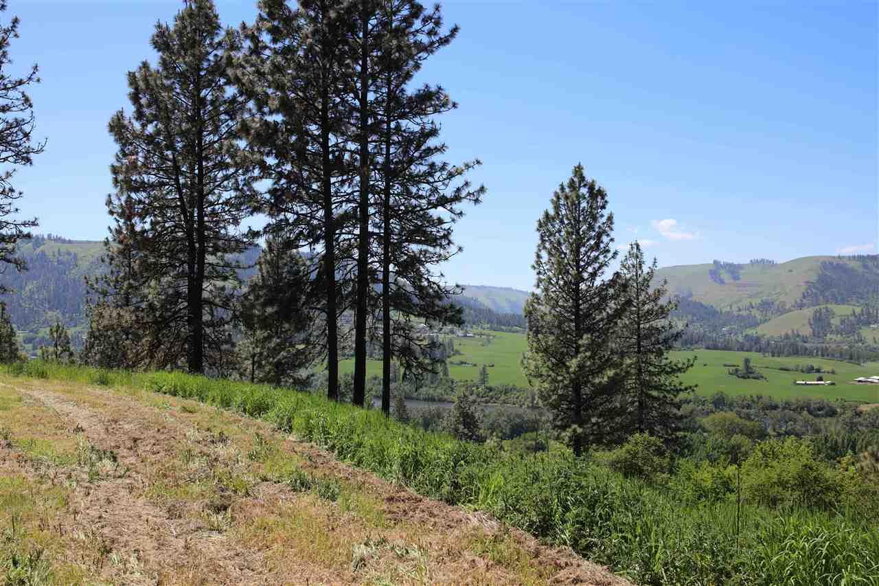 lot 3 Remington Hills - Photo 1