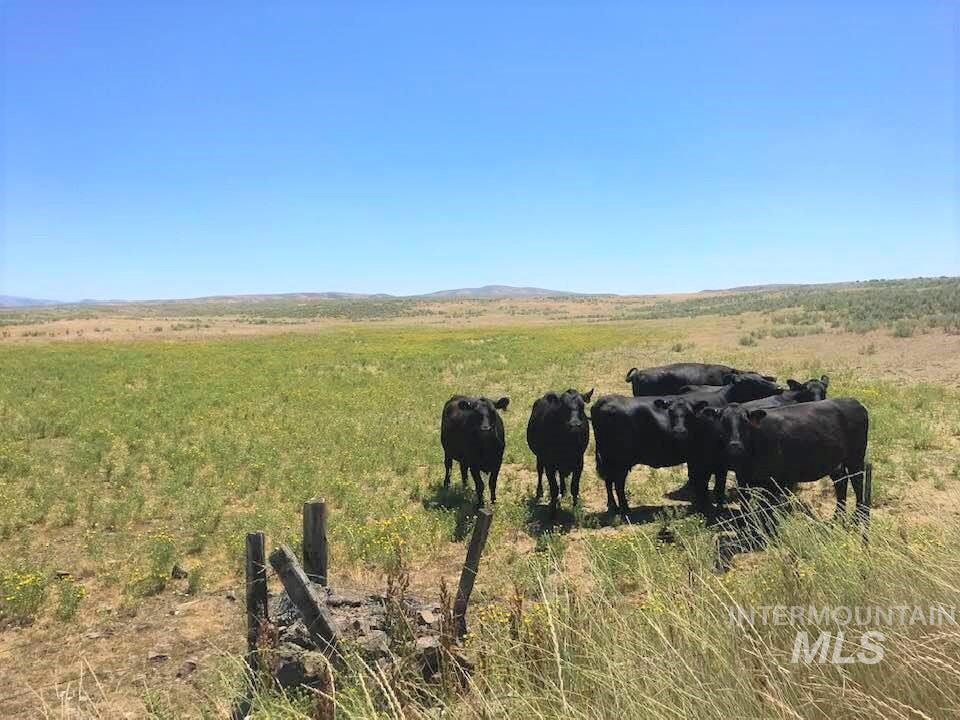 TBD Crane Creek Road - Photo 1