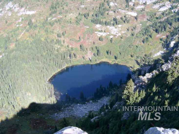 Clearwater Forest - Photo 1 Clearwater Forest - Photo 1