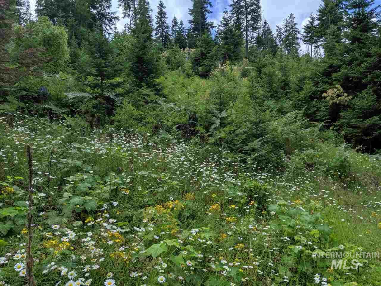 TBD Hucklebery Butte Rd.Parcel H - Photo 1