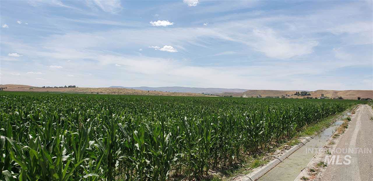TBD Northside Road (~76.96 +/- Acres) - Photo 1