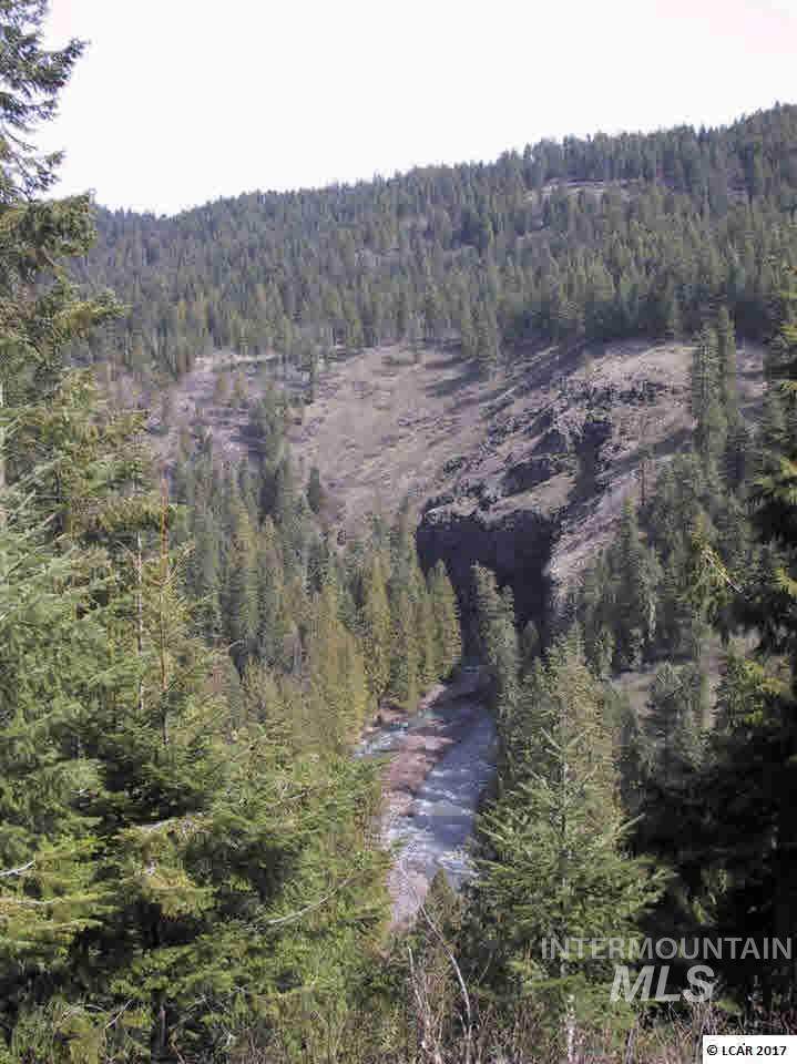 TBD Potlatch River Timberland West (North) - Photo 1