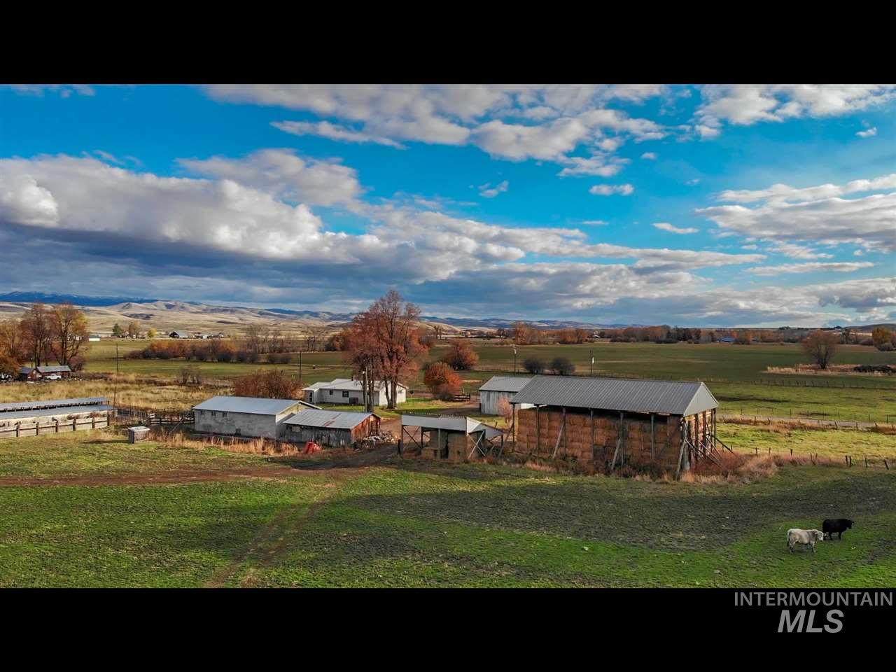 2260 Mundy Gulch - Photo 1