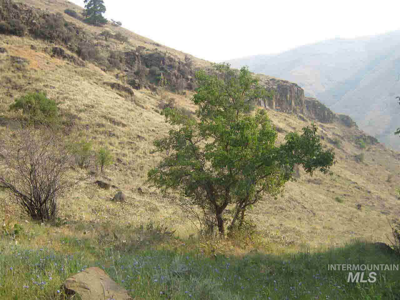 Seven Devils Road Road - Photo 1