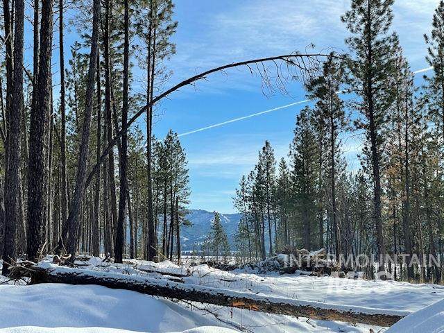 Lot 7 Pine Grove - Photo 1