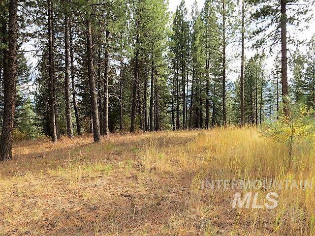 Lot 83 White Pine Dr - Photo 1