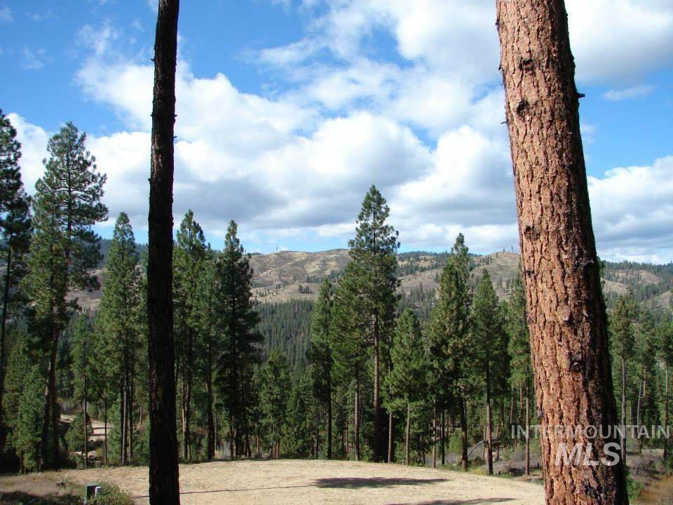 Lot 24 Block 1 Elk Run - Photo 1