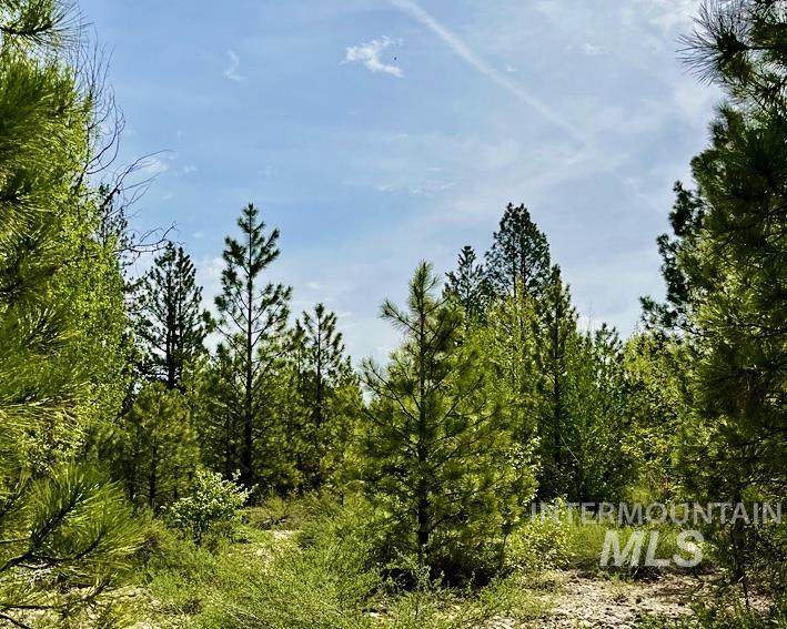 Lot 77 Lainey Lane - Photo 1