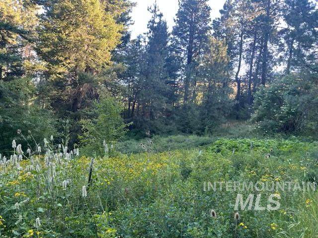 tbd Bobcat Lane - Photo 1