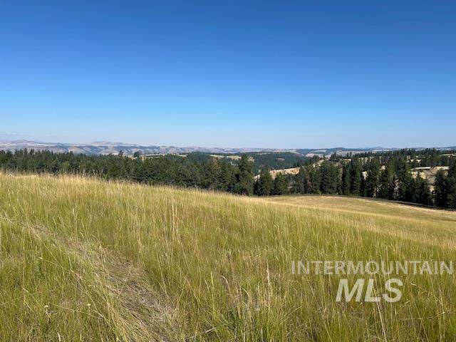 Parcel 13 Red Fir Road - Photo 1