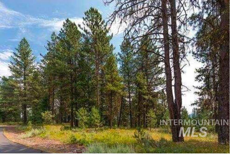 Lot 15 Northwood Ct - Photo 1