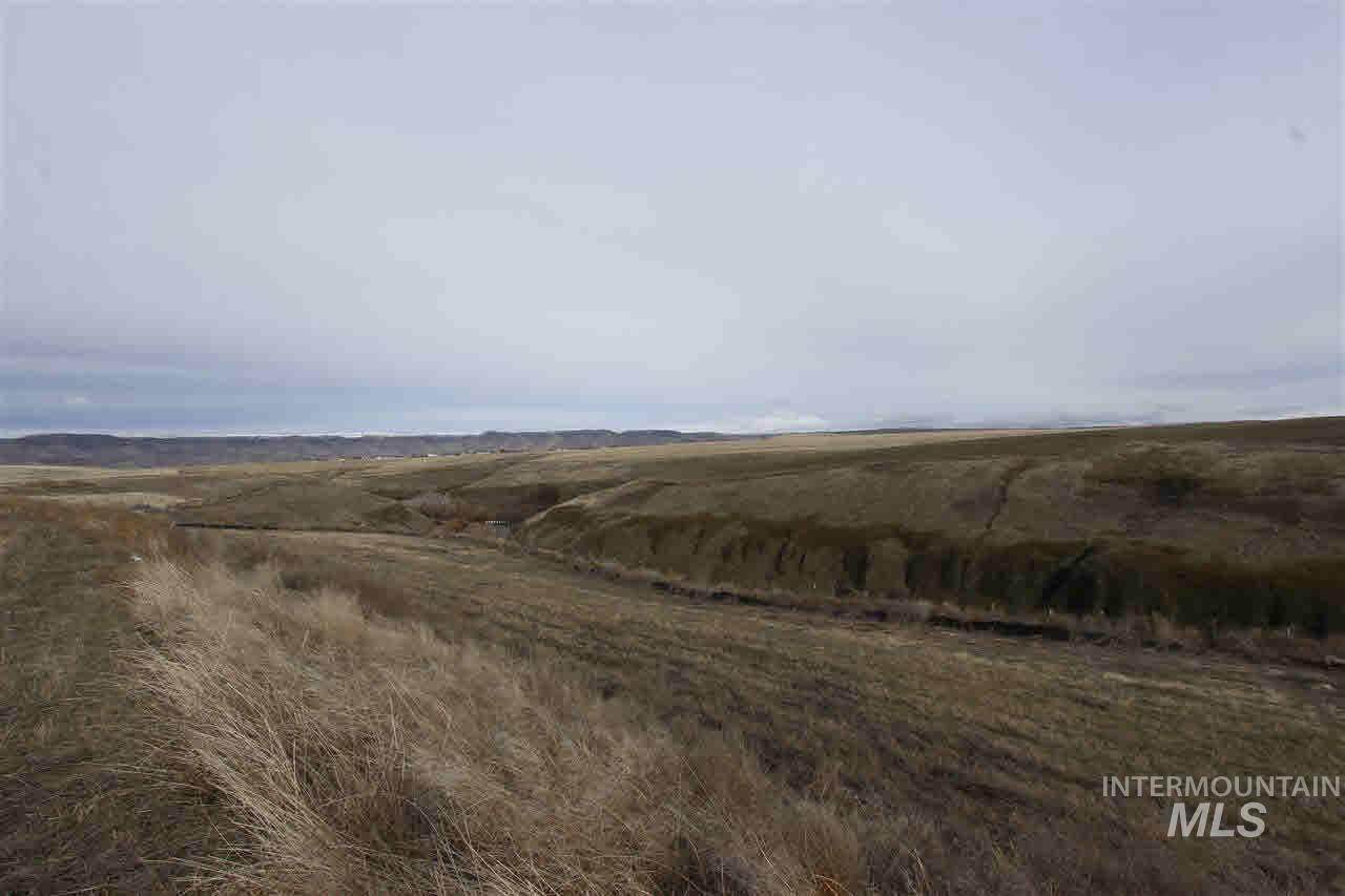 3217 Hidden Valley Loop - Photo 1
