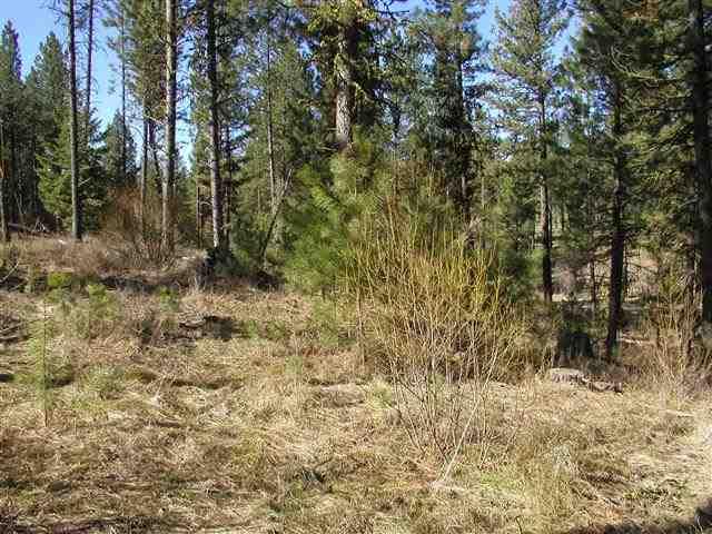Lot 1 Short Line Drive - Photo 1