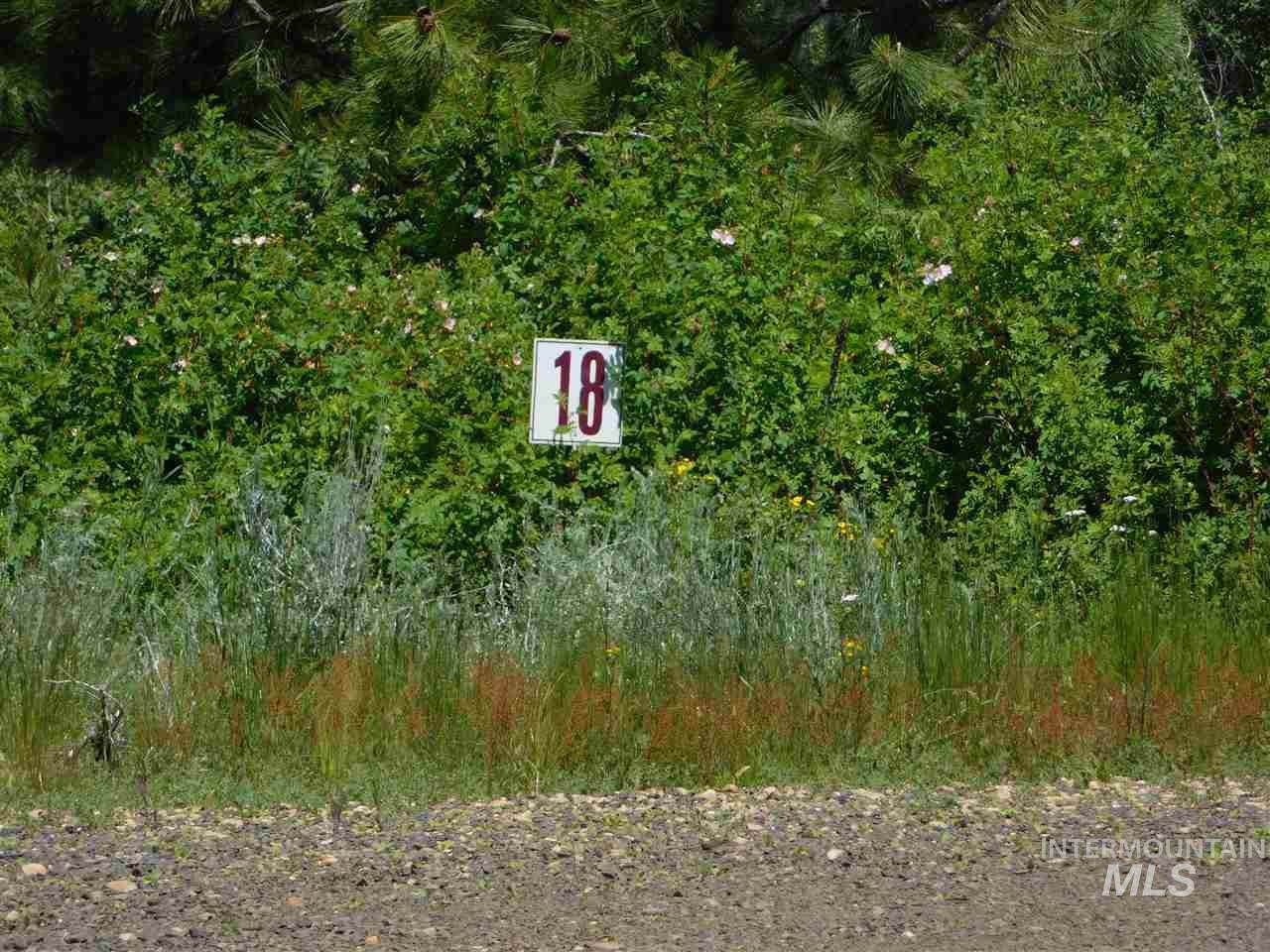 100 Hondo Lane - Photo 1
