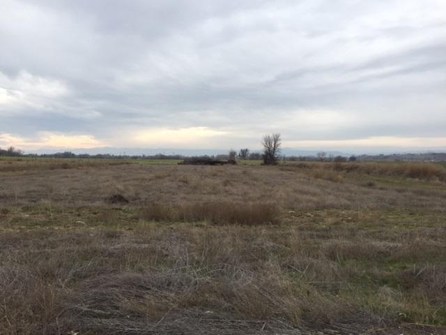 TBD Boehner Rd. - Photo 1