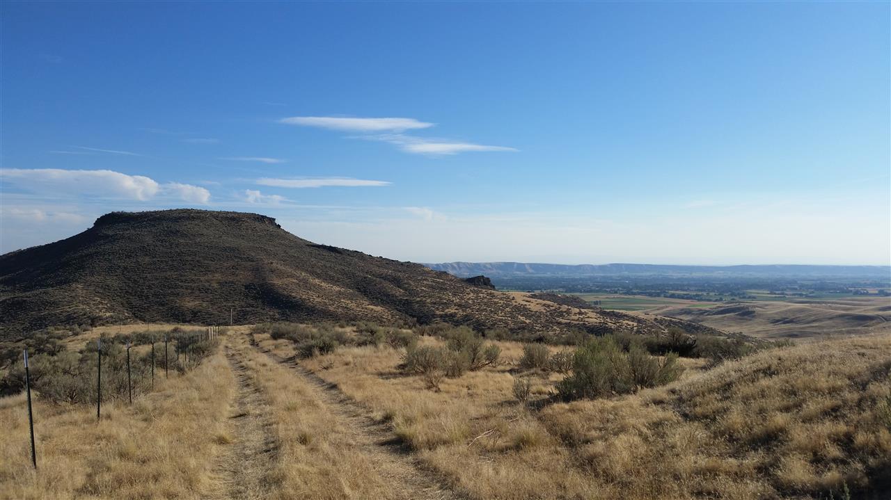 LOT 10 Hidden Hollow - Photo 1