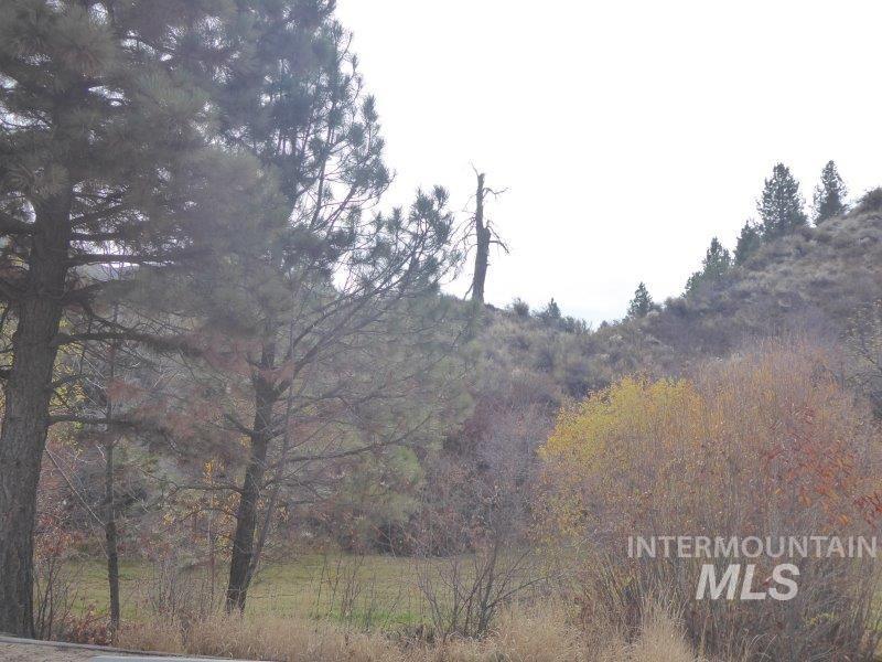 TBD Robie Creek Road - Photo 1