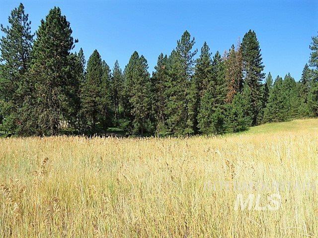 Lot 33 Scriver Woods - Photo 1