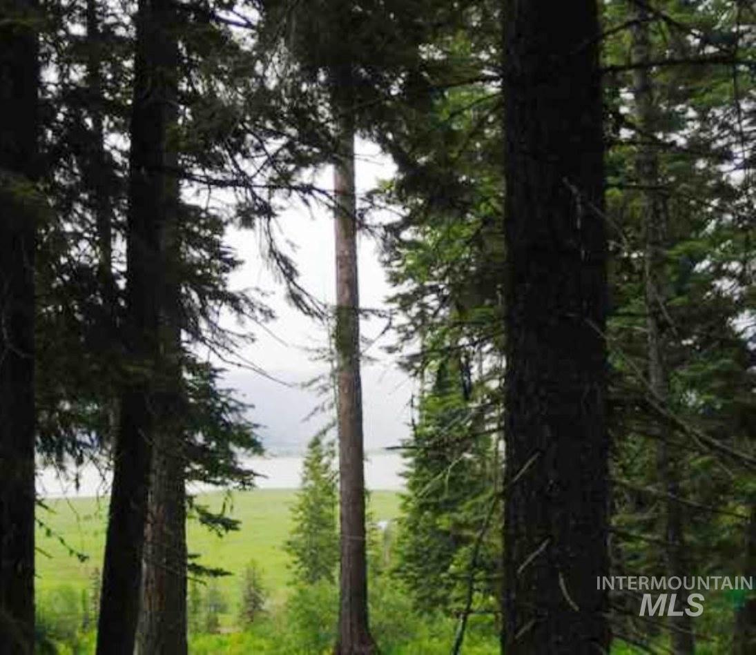 1777 Finch Trail - Photo 1
