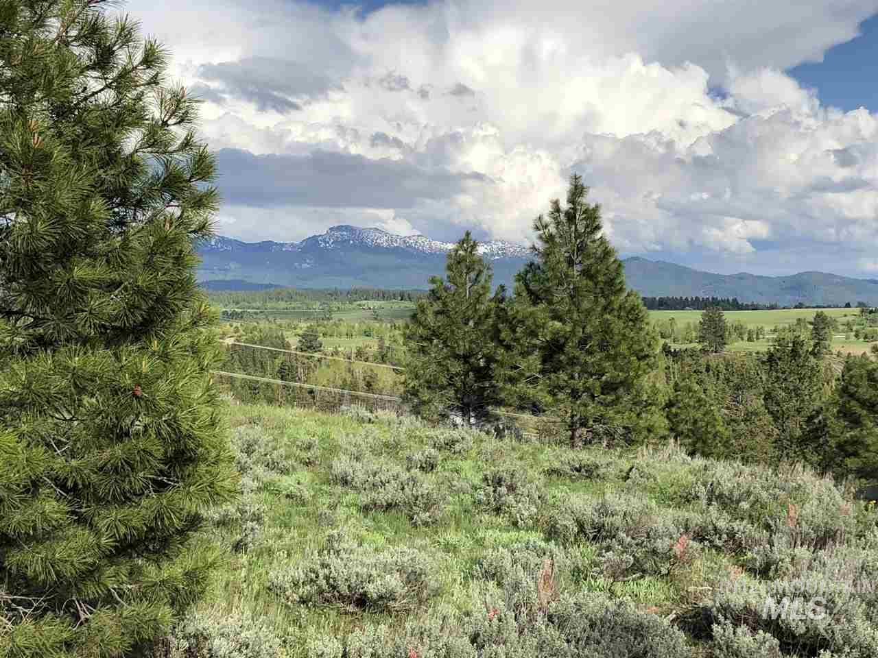 1020 Valley Rim Rd - Photo 1
