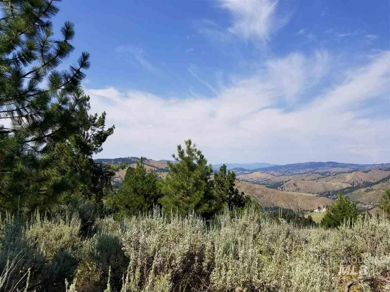 Lot 41B Elk Run Road - Photo 1