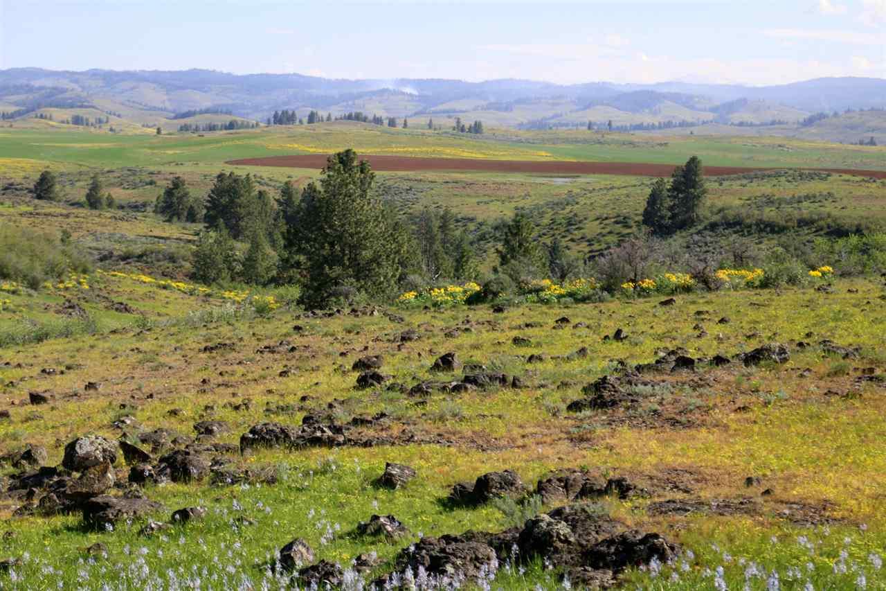 TBD Ridge Road - Photo 1