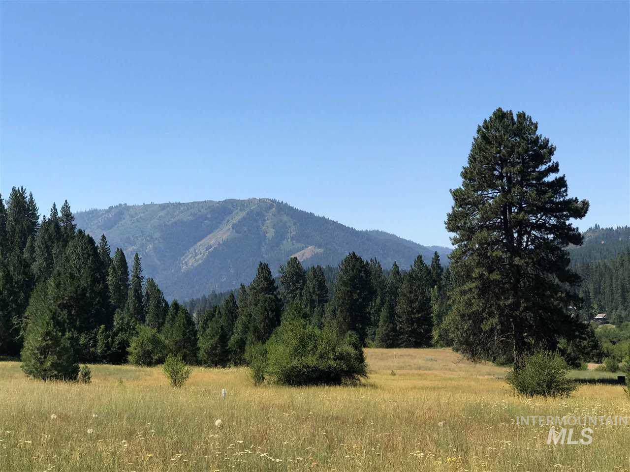 Pine Bar Ranch Parcels H-K On Windy River Rd - Photo 1
