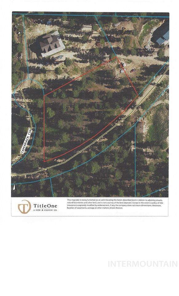Lot 2 Tamarack - Photo 1