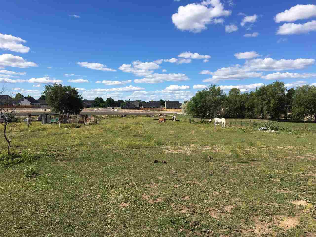 TBD Locust Ln - Photo 1