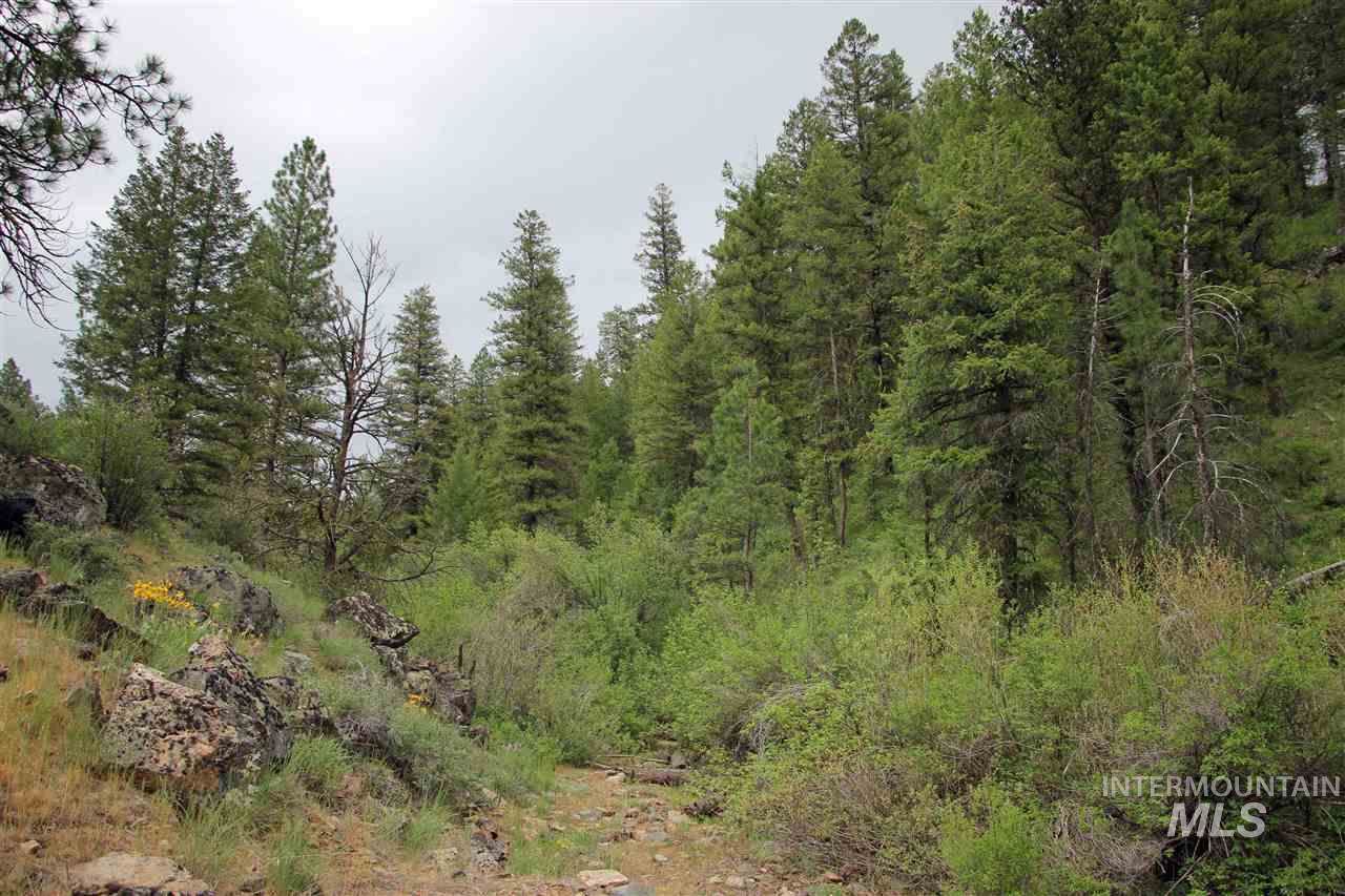TBD North Fork Hornet Creek Rd - 320 Ac - Photo 1