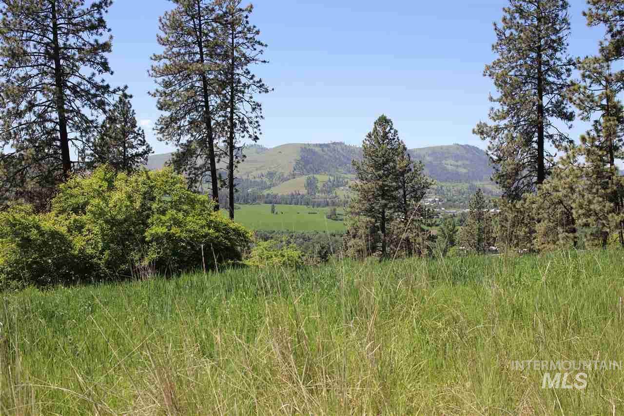 lots 6&7 Remington Hills - Photo 1