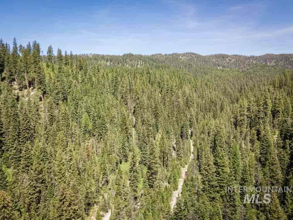 TBD (13.63 AC) Warm Lake Rd - Photo 1