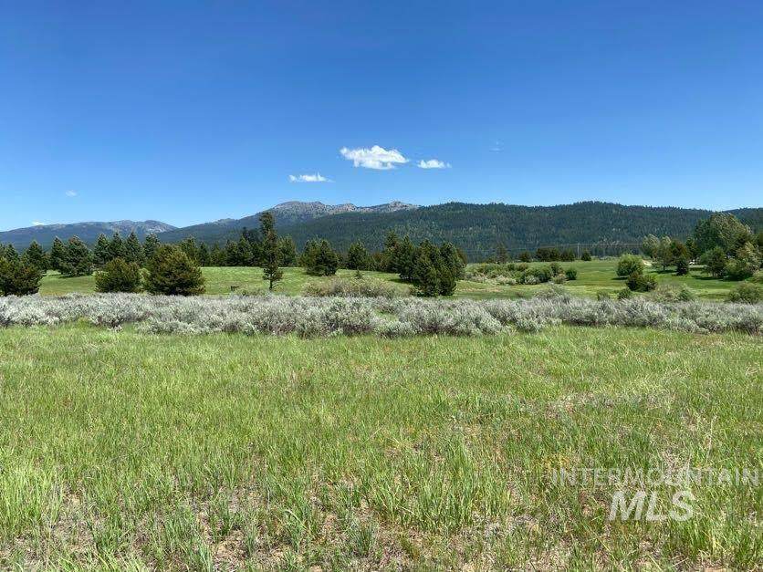 TBD Morris Ranch Road - Photo 1